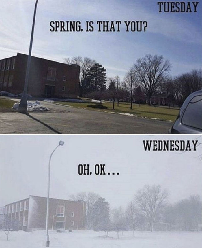 Springtime-Memes-Funny