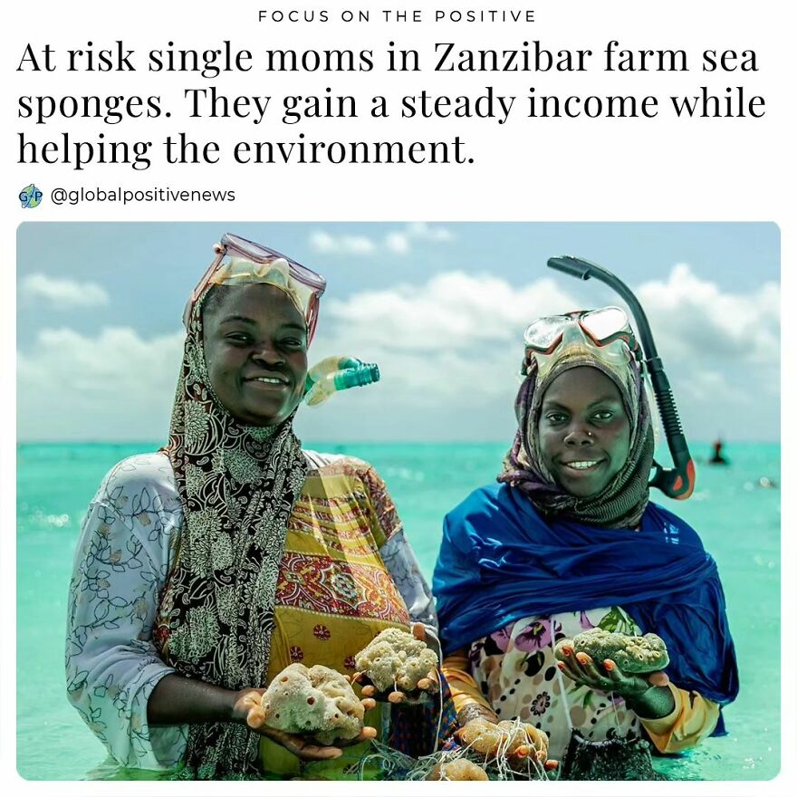 Many Single Mothers In Zanzibar Used To Farm Seaweed Until 2009