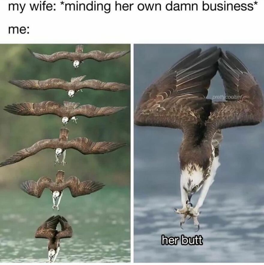 Same For Me With My Husband... I'm The Eagle... 😂