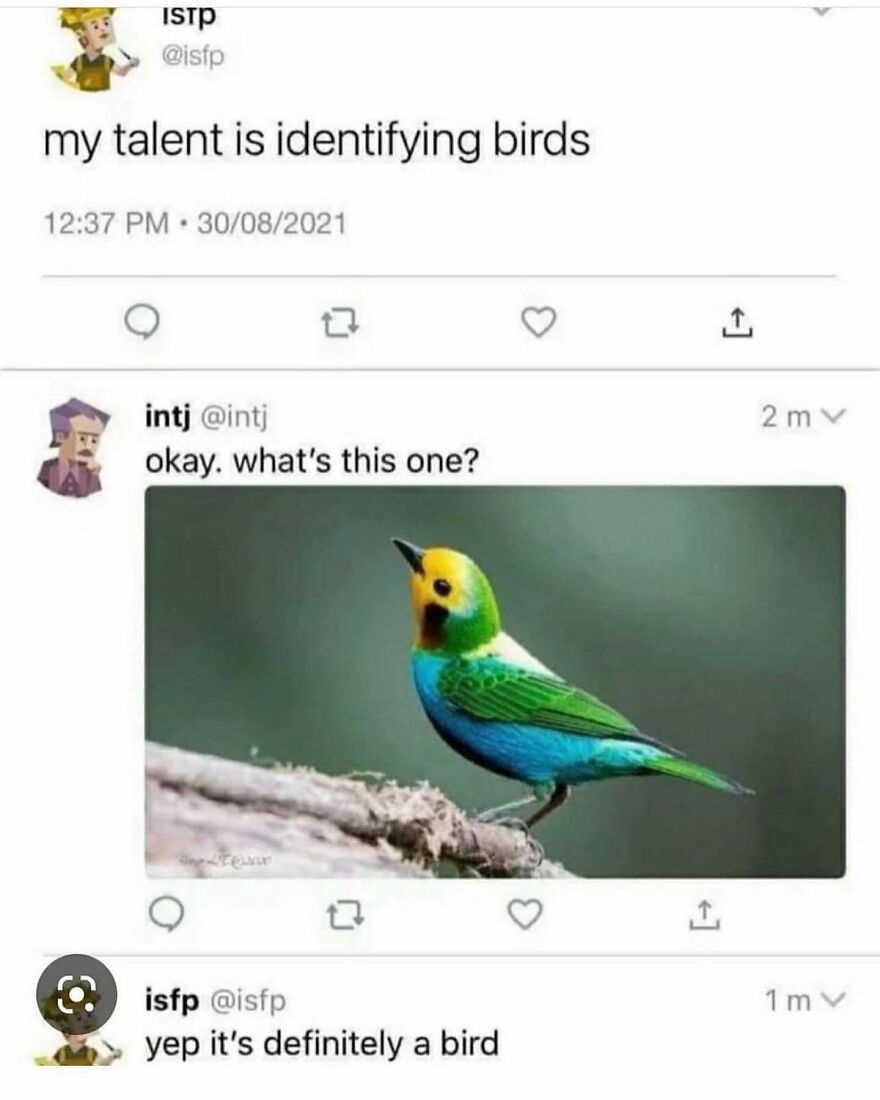 Wait, Are There Still People That Think Birds Are Real?