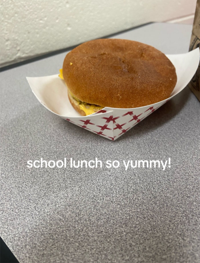 Mom Goes Viral After Posting Photos Of School Cafeteria Hamburger She Says Warrants Lawsuit
