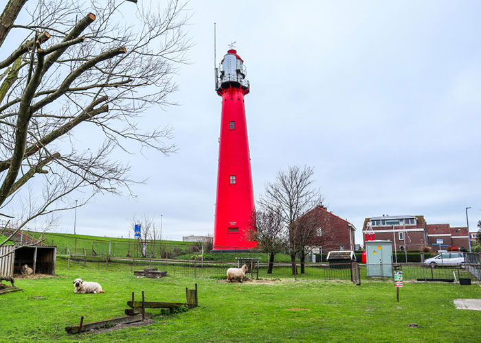 Boy, 9, Put In Care Program After Strangling 11 Animals At Petting Zoo Boy, 9, Put In Care Program After Strangling 11 Animals At Petting Zoo