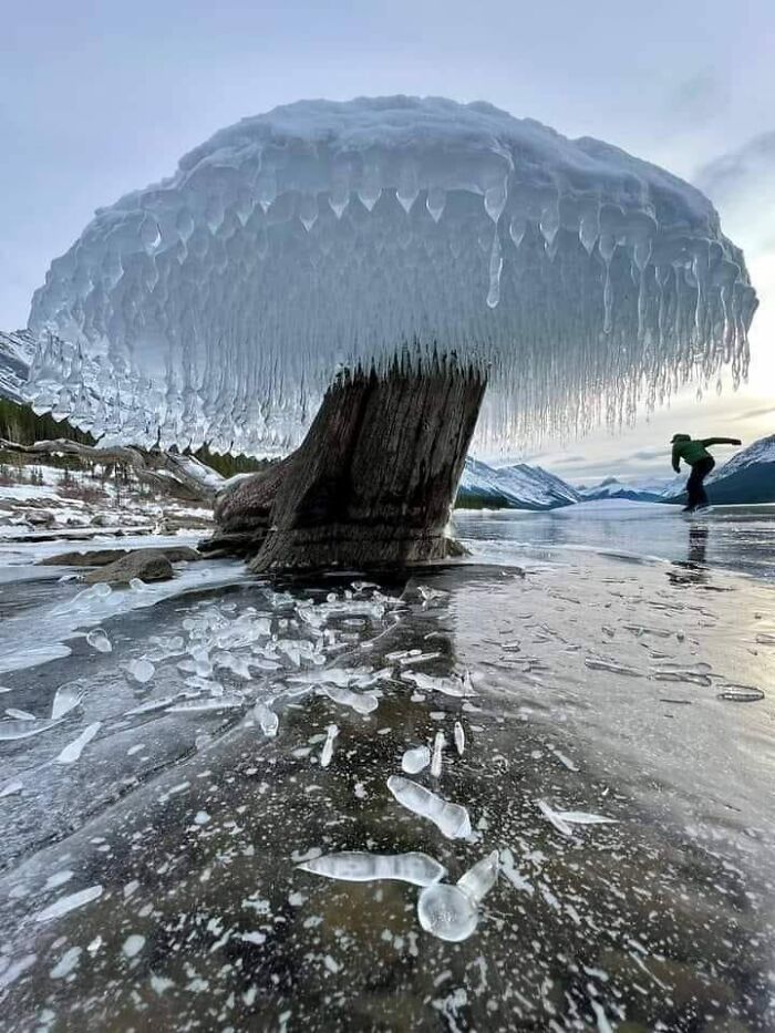 Árbol de hielo en Canadá