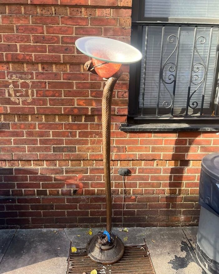 Anyone In Need Of A Casual Snake Lamp?! You’ve Come To The Right Place… 17th And 7th