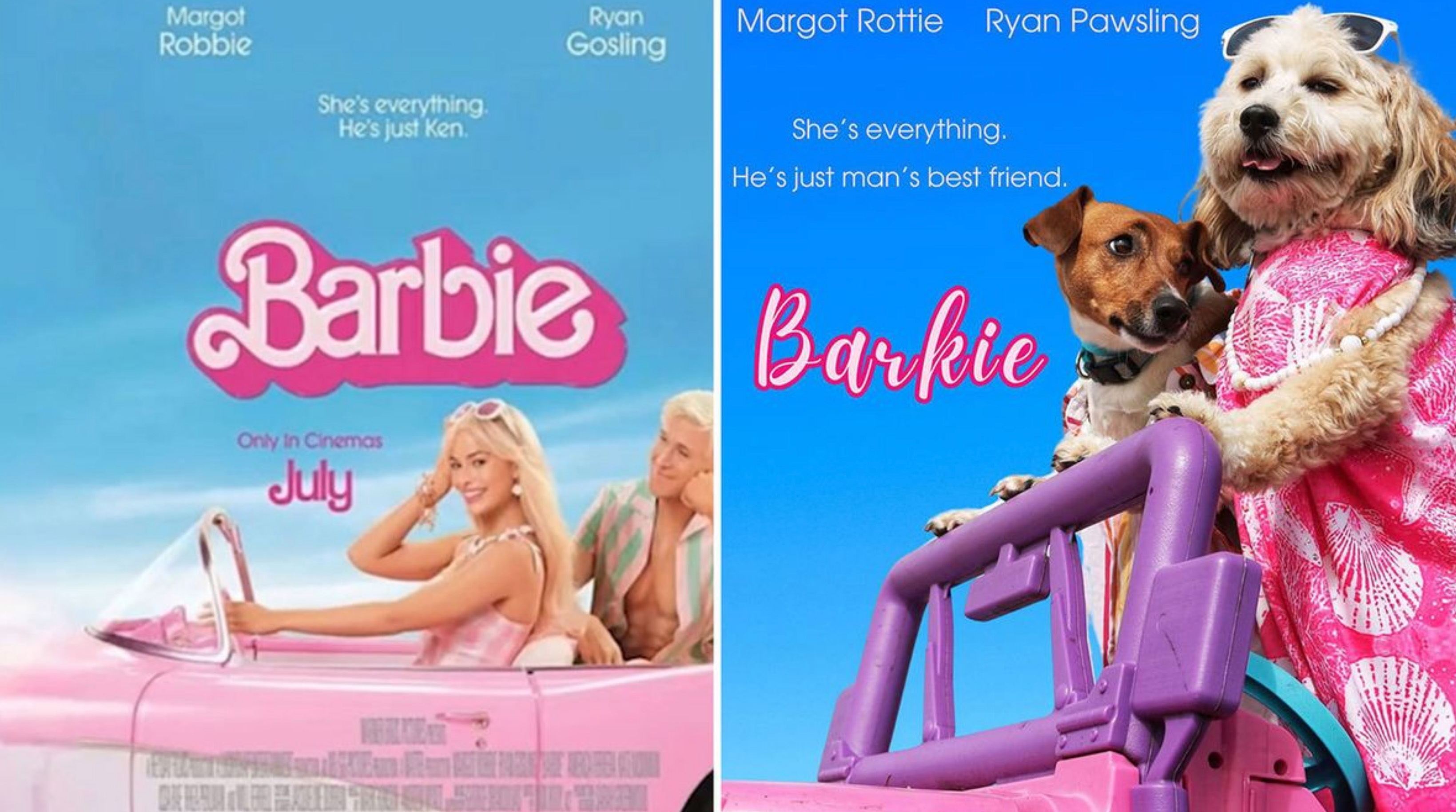 Dog Daycare Steals The Show, Recreating Hilarious Movie Posters Of Oscar-Nominated Films (10 Posters) Dog Daycare Steals The Show, Recreating Hilarious Movie Posters Of Oscar-Nominated Films (10 Posters)