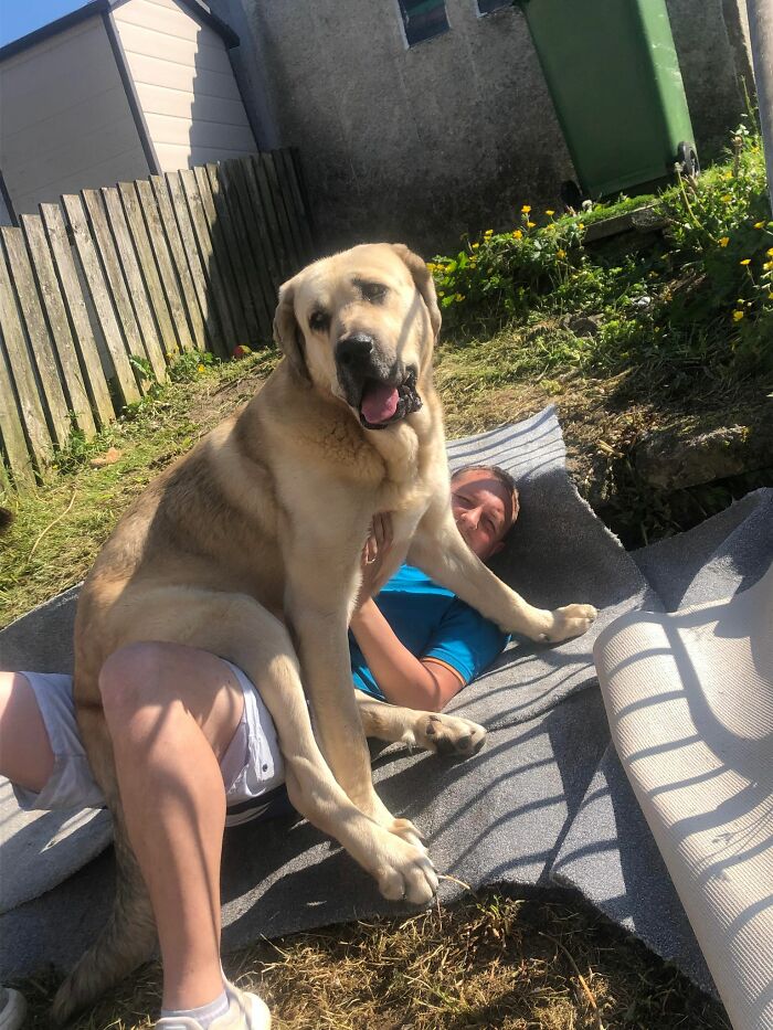 This Dog Got A Second Chance At Life, And His Tail Wags More Than Ever This Dog Got A Second Chance At Life, And His Tail Wags More Than Ever