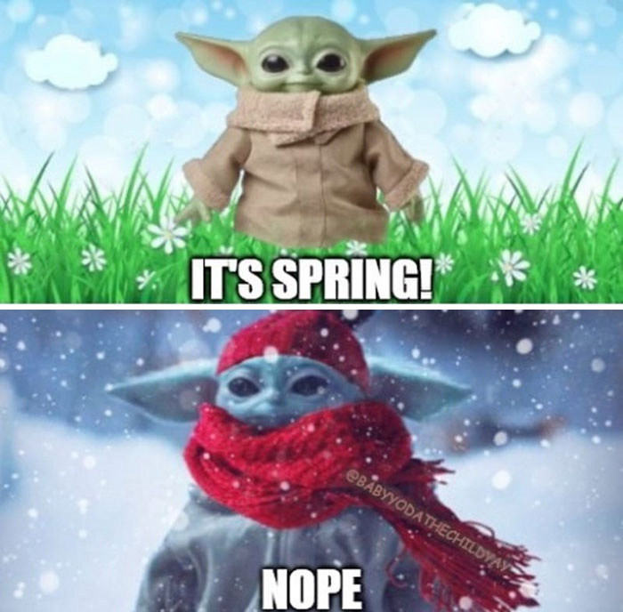 Springtime-Memes-Funny