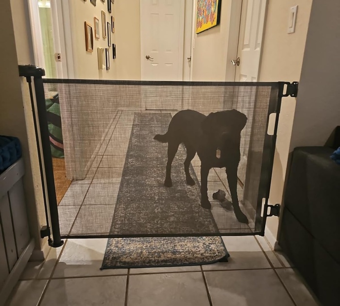 No More Furry Escapees Thanks To The Dearlomum Retractable Mesh Dog Gate