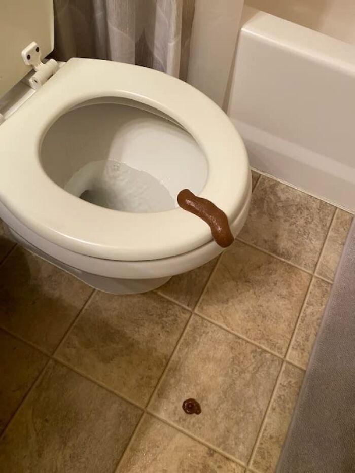 Prankster Game On Point With The Fake Poop! A Totally 'Poopy' Surprise!