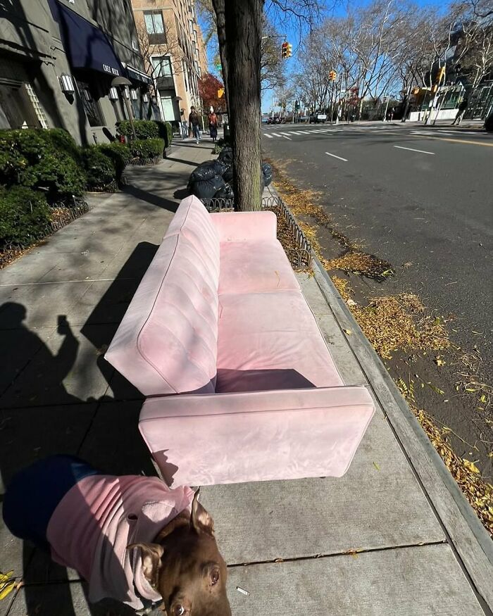 Pretty In Pink!! Pink Velvet Futon On York Between 90th And 91st. Looks Pretty Clean