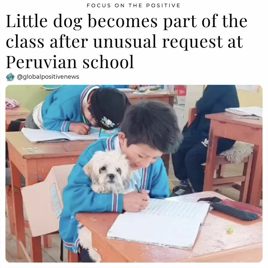 In August 2023, Lopez, A Little Boy From Peru, Was Experiencing Hardships At Home. There Was Nobody To Take Care Of His Dog, Pequeña, While He Was At School