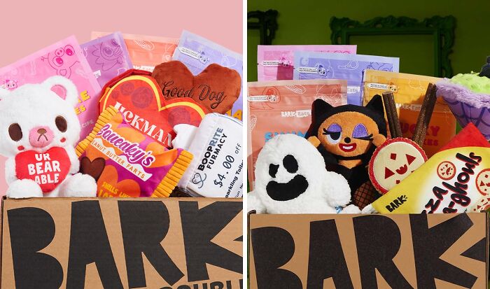 Fetch Fun And Joy With BarkBox Subscription Boxes: Tail-Wagging Toys And Treats For Your Pawesome Pals