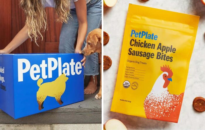 Indulge Your Pooch With PetPlate Subscription Boxes: Delicious Dog Food And Treats For Your Furry Companion!