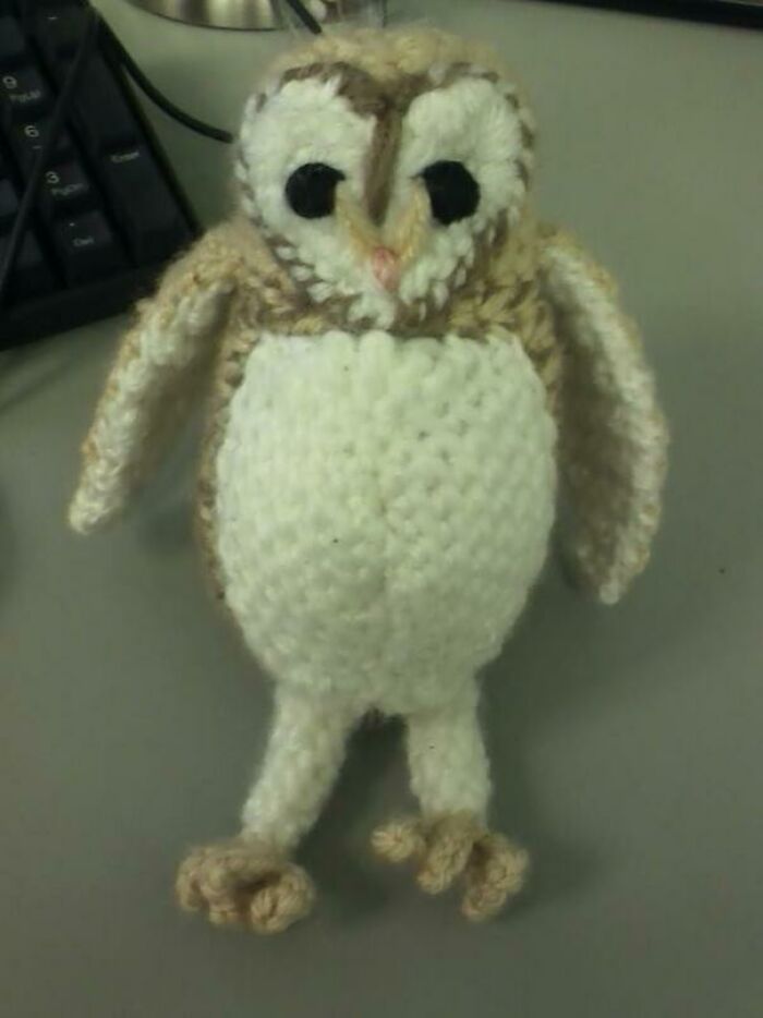 I Love Barn Owls...so I Crocheted One