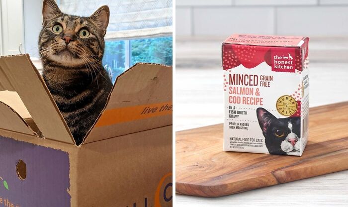 Experience Wholesome Living With Full Circle Subscription Boxes: Embrace Organic Produce, Farm-Fresh Products, And Nutrient-Rich Cat And Dog Food!