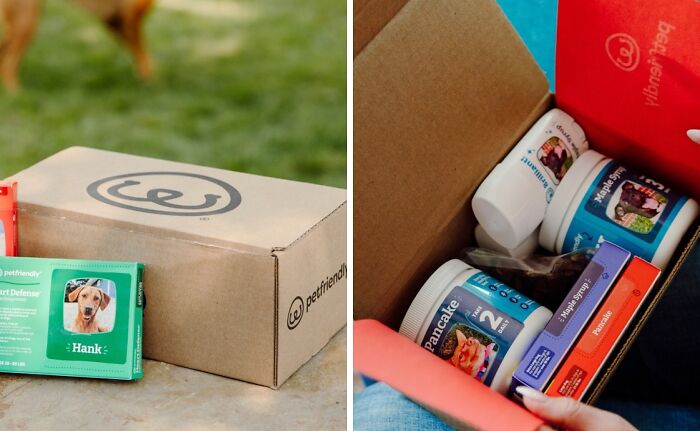Pamper Your Pet With PetFriendly Box: Your Monthly Pet Care Subscription Box For Tail-Wagging Treats And Food!