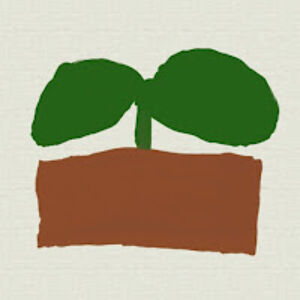 imaplant avatar
