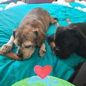 christina_hill avatar