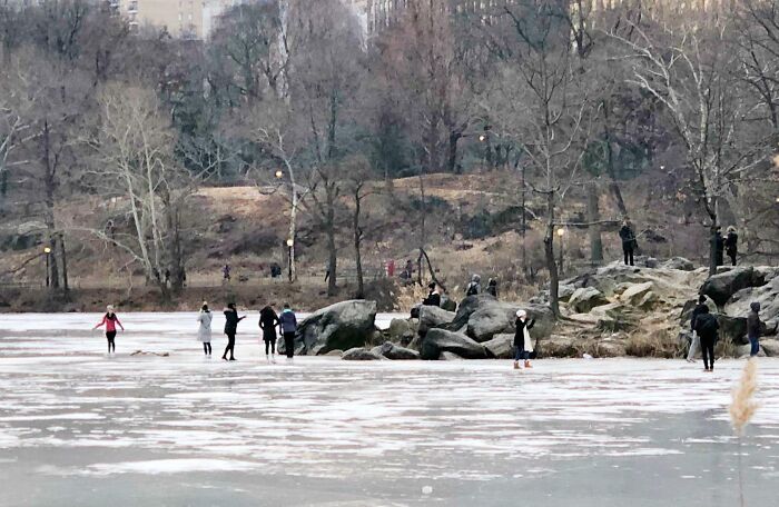 Tourists Walking On The Frozen Lake In Central Park Just To Take Selfies Despite Warnings