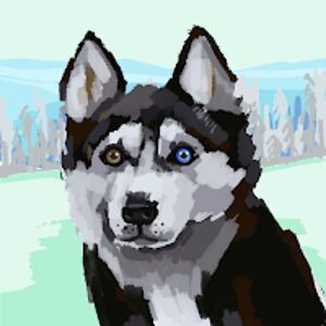 sofiapels-hensley avatar
