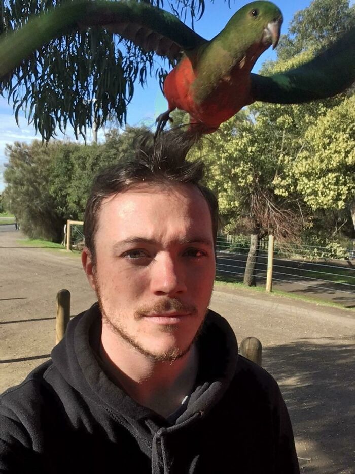 A Bird Perched On My Head Took Flight As I Took The Picture