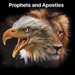 samuelvalombola avatar