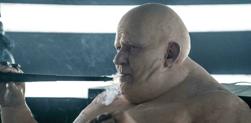 Actor Stellan Skarsgård Revealed He Never Wore Makeup During The Filming Of Dune 2 (2024). By Following The Eating And Hygiene Habits Of The Average Reddit Mod, He Was Able To Look Like This Within Just 3 Weeks