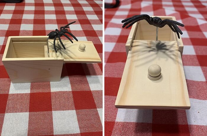 Fighting Arachnophobia? Not Today With The Original Spider Scare Prank Box