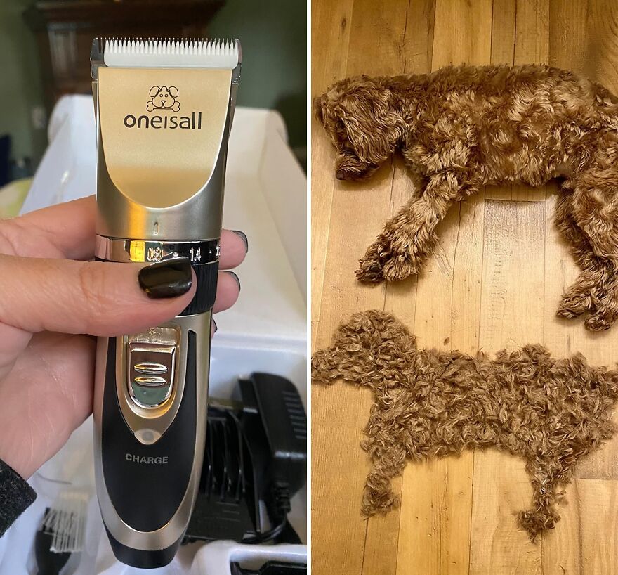 Quiet Clip, Happy Pup: Discover The Ultimate Low Noise Dog Shaver Clippers For Stress-Free Grooming Sessions