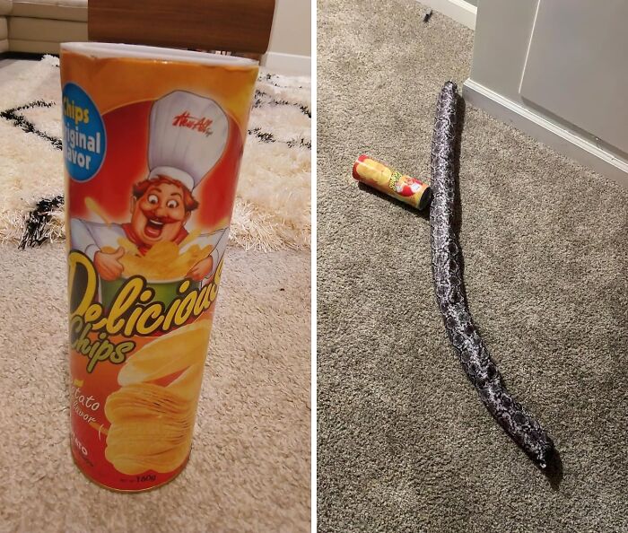  Magic Potato Chip Can With Flying Snake? Just Another Day In The Life Of An April Fool, Amirite?