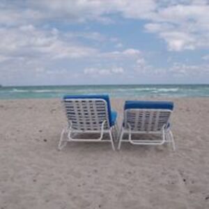 linneacsheldon avatar