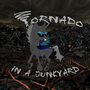 tornadoinajunkyard avatar