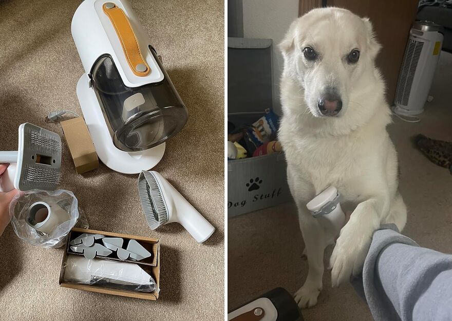  Airrobo: The Pet Grooming Vacuum That Makes Shedding A Thing Of The Past