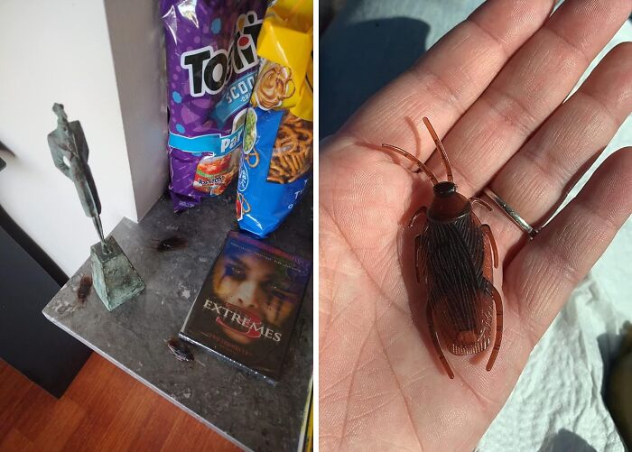 April Fools'? Time To Bring Out The Big 'Bugs' - Fake Roaches. Gross Them Out!