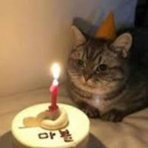 tacocomunista avatar