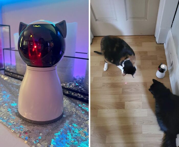 Purr-Fectly Lit: Automatic Laser Cat Toy that Spark Joy In Every Indoor Hunt!