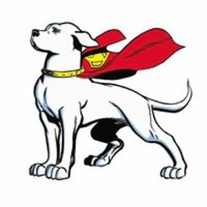 dogocostarica avatar