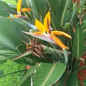 lisa_s_salinas avatar