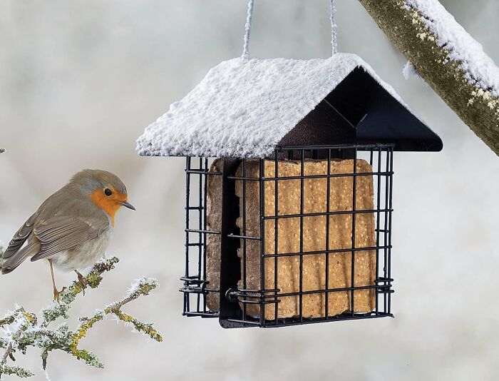 Attract Feathered Friends With Suet Bird Feeder For Outside: A Stylish And Functional Addition To Your Outdoor Space!