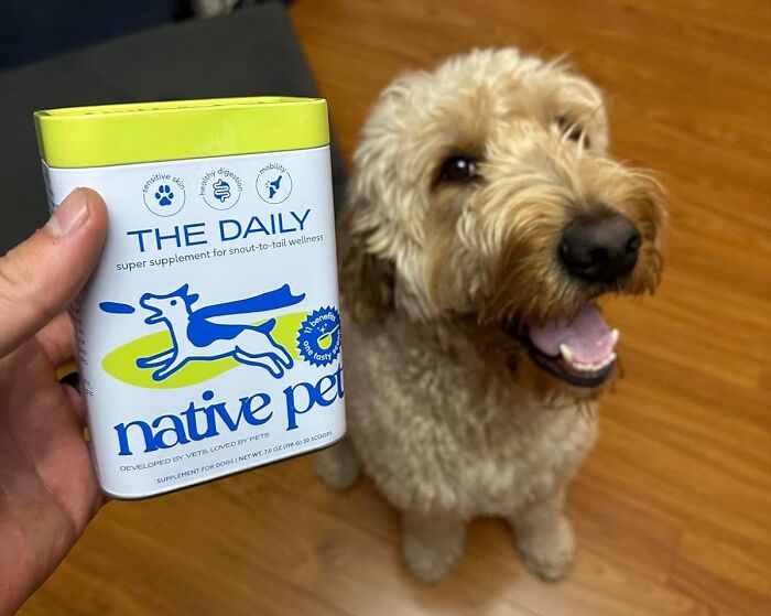 Vitamin Power-Up: Native Pet's Daily Dog Supplement Packs An 11 In 1 Punch!