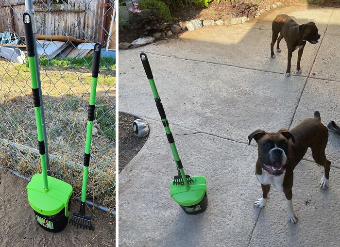 Scoop, Swivel, Smile: Make Waste Cleanup A Breeze With This Pooper Scooper Kit!