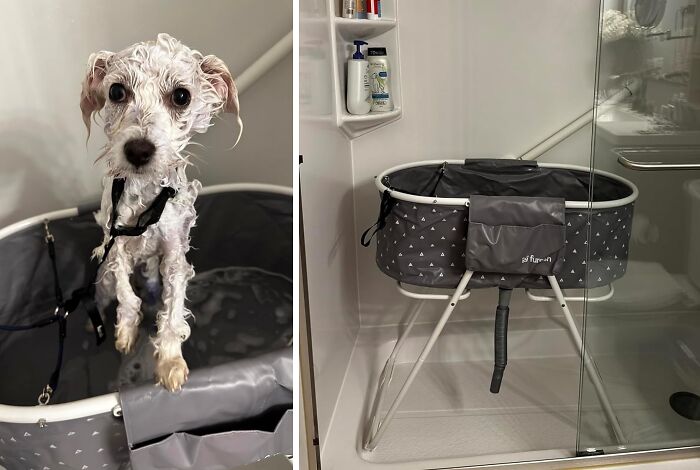 Soak, Soap, And Save: Dog Bath Tub Makes Grooming A Breeze!