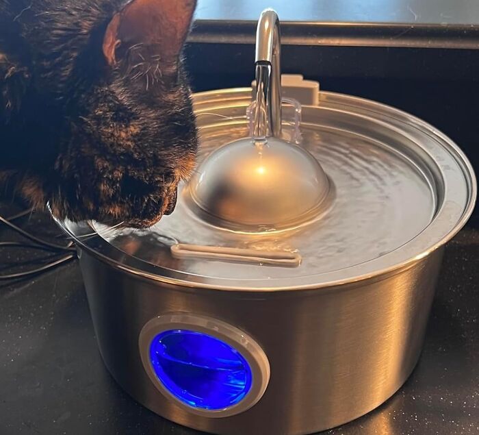 Thirst No More: Sleek Stainless Steel Cat Water Fountain For Hydration!