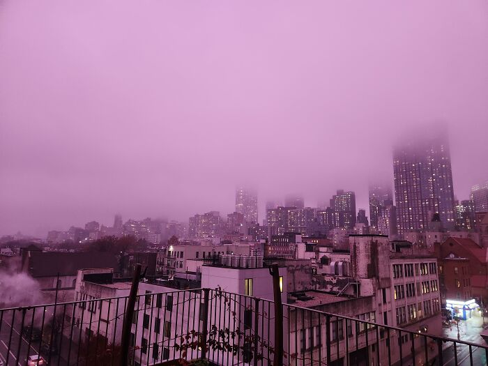 Actual Purple Rain In NYC Right Now
