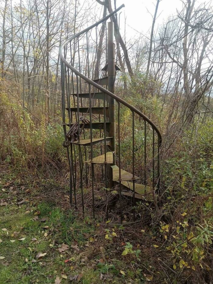 Staircase To Nowhere In The Middle Of The Woods