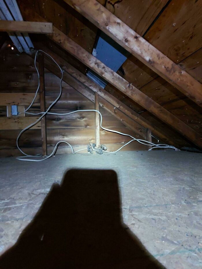 Found In The Attic Of My New House, Should We Find A New House?