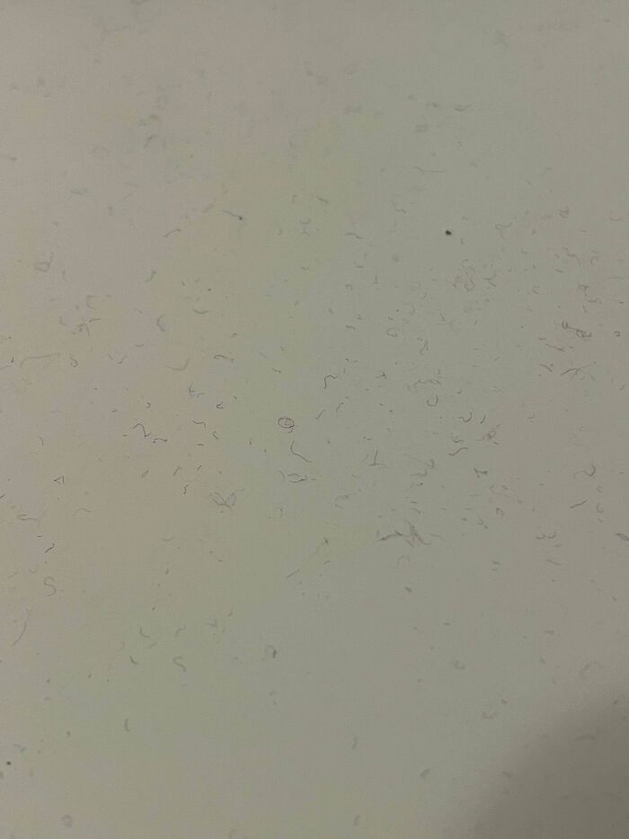 These Tiny Fibers Coat Every Surface In My Apartment And No Matter How Much I Clean They Come Back In Full Force