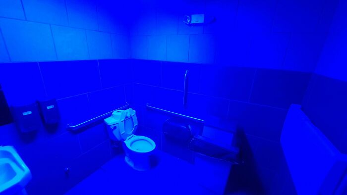 My Local Corner Store Has A Blacklight Installed In Their Public Restroom