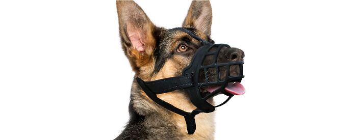The Barkless Dog Muzzle