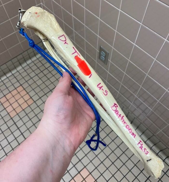 My Anatomy Teacher’s Bathroom Pass Is A Human Leg Bone